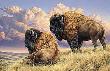 Prairie Monarchs Bison by Rosemary Millette Limited Edition Pricing Art Print