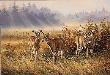 Meadow Mist Whttl by Rosemary Millette Limited Edition Print