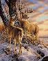 Twilight Escap Deer by Rosemary Millette Limited Edition Print