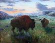 Two Bulls by Carl D Rhodes Limited Edition Print