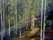 White Mountains Aspen by Carl D Rhodes Limited Edition Pricing Art Print