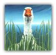 Fowl Look by Lorena Pugh Limited Edition Print