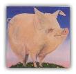 Square Pig by Lorena Pugh Limited Edition Pricing Art Print