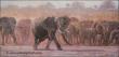 Elephant Herd by Julia Rogers Limited Edition Print