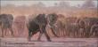 Elephant Herd by Julia Rogers Limited Edition Pricing Art Print