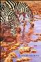Crater Stream by Julia Rogers Limited Edition Pricing Art Print