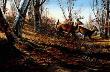 Autumn Run by Terry Redlin Limited Edition Print