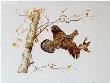 Birch Ruff Grouse by Maynard Reece Limited Edition Print