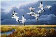 Dark Sky Snow Geese by Maynard Reece Limited Edition Pricing Art Print