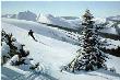 High Country Skier by Maynard Reece Limited Edition Print