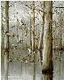 Oak Timber Mallards by Maynard Reece Limited Edition Pricing Art Print
