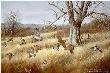 Old Tree Bobwhites by Maynard Reece Limited Edition Print