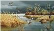 Tranquil Marsh Mallrds by Maynard Reece Limited Edition Print