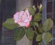 Summer Rose by Linda Roberts Limited Edition Pricing Art Print
