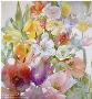Tulip Tracery by Carolyn Blish Limited Edition Print