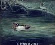 Wood Ducks by Robert Post Limited Edition Print