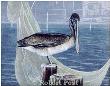 Brown Pelican by Robert Post Limited Edition Pricing Art Print