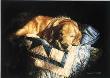 Snooze by Sueellen Ross Limited Edition Pricing Art Print