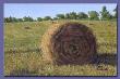 Stoney Lake Hay Bale by Gene Canning Limited Edition Print