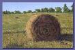 Stoney Lake Hay Bale by Gene Canning Limited Edition Print