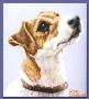 Jack Russell Study by Gene Canning Limited Edition Print