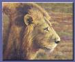 Kwai Lion by Gene Canning Limited Edition Print