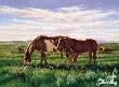 Summer Pasture by Joelle Smith Limited Edition Pricing Art Print