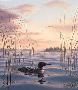 Sundown Sentry Loon by Phil Scholer Limited Edition Print