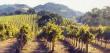 September Haze by June Carey Limited Edition Print