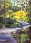 Boardwalk Through Bog by Mark Hobson Limited Edition Print