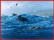 Tuftd Puffins Riding by Mark Hobson Limited Edition Print