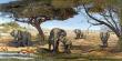 Eleph Waterhole by Doni Kendig Limited Edition Print