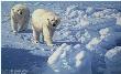 Along Ice Floe Bears by John Seerey-Lester Limited Edition Print