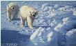 Along Ice Floe Bears by John Seerey-Lester Limited Edition Print