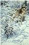 Winter Spirit Wolf by John Seerey-Lester Limited Edition Print
