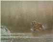 Ranthambhore Rush by John Seerey-Lester Limited Edition Print