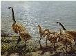 Lakeside Family by John Seerey-Lester Limited Edition Print