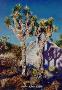 Joshua Tree Dawn by Gary R Johnson Limited Edition Pricing Art Print