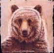 Grizzly Bear by Gary R Johnson Limited Edition Print