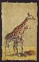 Giraffes by Gary R Johnson Limited Edition Pricing Art Print