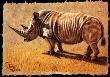 White Rhino by Gary R Johnson Limited Edition Pricing Art Print
