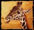 Giraffe Port by Gary R Johnson Limited Edition Pricing Art Print