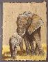 African Elephants by Gary R Johnson Limited Edition Pricing Art Print