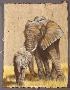 African Elephants by Gary R Johnson Limited Edition Pricing Art Print