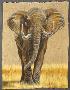 African Elephant by Gary R Johnson Limited Edition Print