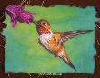 Rufous Hummingbird by Gary R Johnson Limited Edition Print