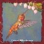 Allens Hummingbird by Gary R Johnson Limited Edition Print