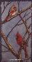 Cardinals Winterday by Gary R Johnson Limited Edition Print