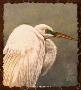Great Egret Green by Gary R Johnson Limited Edition Pricing Art Print