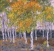 Fall Aspens by Gary R Johnson Limited Edition Pricing Art Print